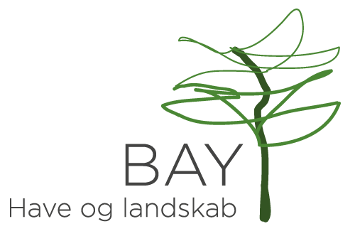 Bay Have og Landskab